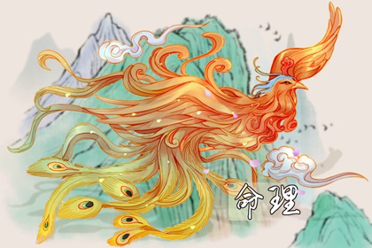 择吉老黄历|黄历择吉|择吉皇历